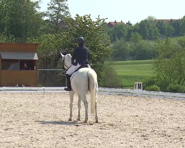 Reitturnier Ansbach/Mfr. 2019