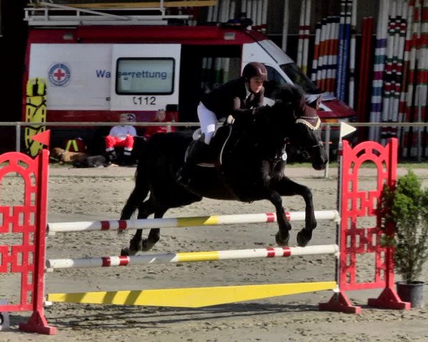 Reitturnier Herxheim 2019