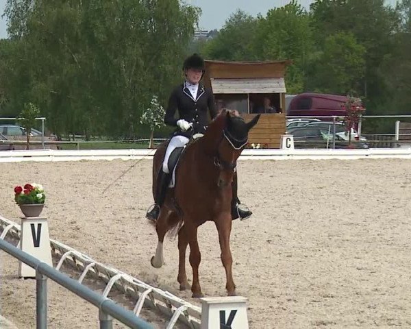 Reitturnier Ansbach/Mfr. 2019