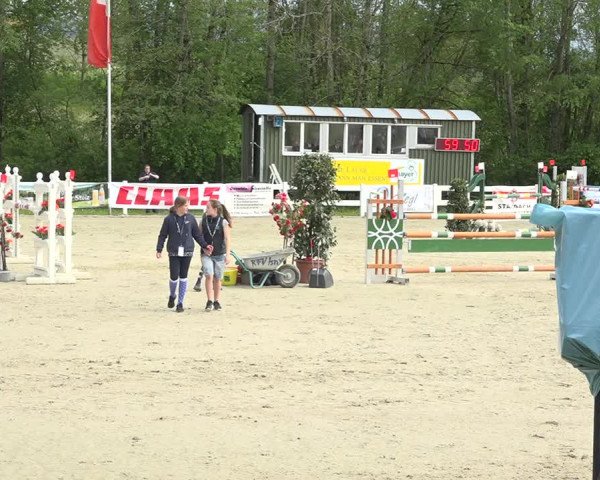 Reitturnier Isny-Rohrdorf 2019