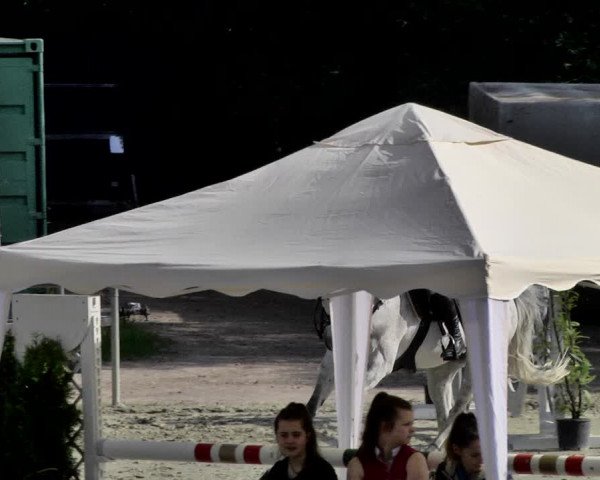 Reitturnier Herxheim 2019