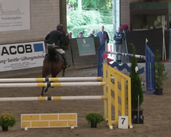 Reitturnier Heilbronn 2021