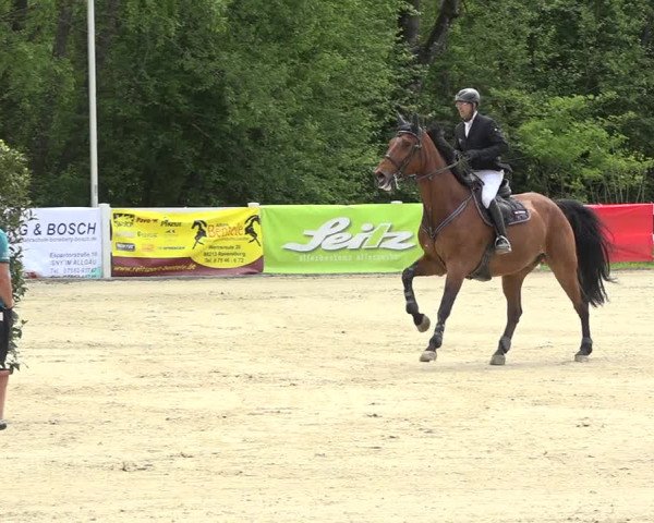 Reitturnier Isny-Rohrdorf 2019