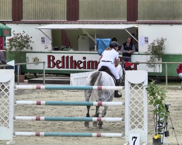 Reitturnier Herxheim 2019