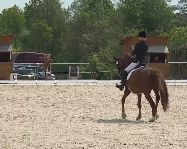 Reitturnier Ansbach/Mfr. 2019