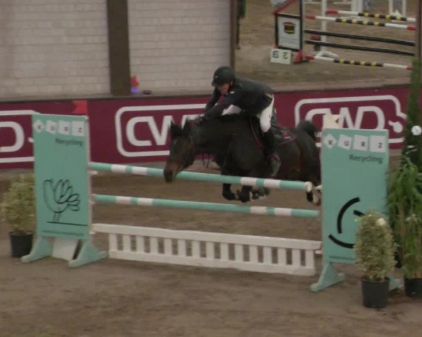 Reitturnier Heilbronn 2021