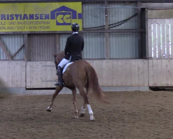 Reitturnier Löwenstedt 2019
