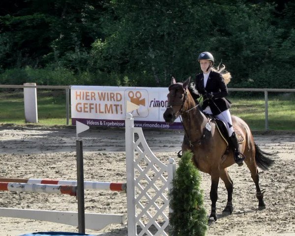Reitturnier Herxheim 2019