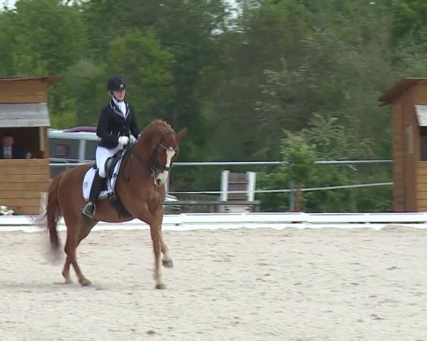 Reitturnier Ansbach/Mfr. 2019