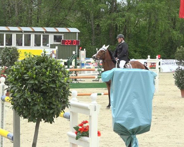 Reitturnier Isny-Rohrdorf 2019