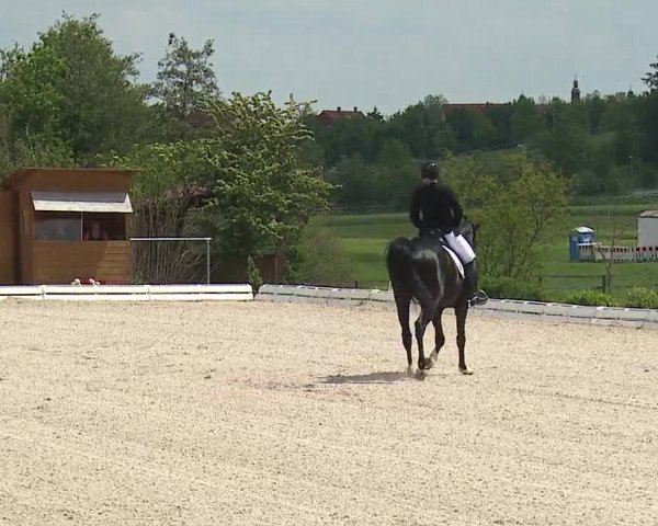 Reitturnier Ansbach/Mfr. 2019
