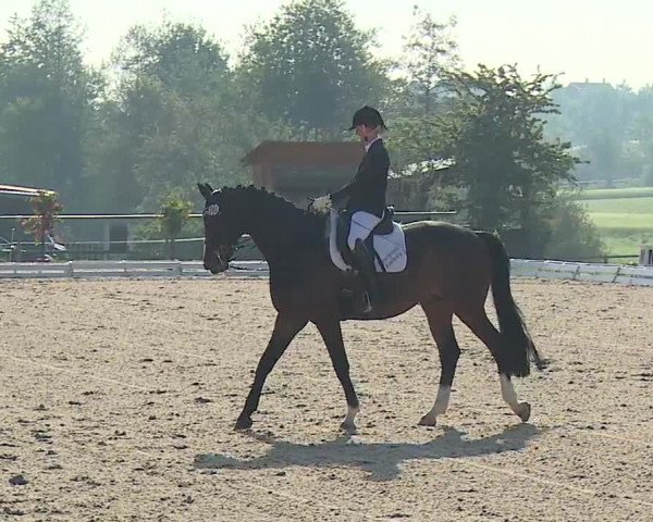 Reitturnier Ansbach/Mfr. 2019