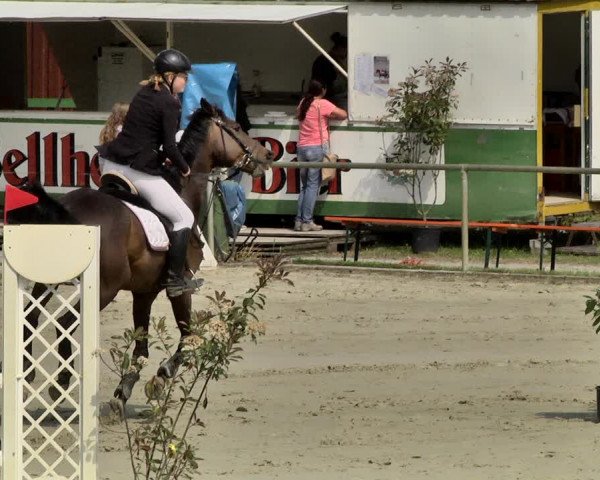 Reitturnier Herxheim 2019