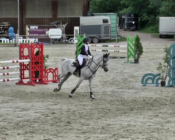 Reitturnier Herxheim 2019