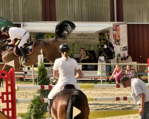 Reitturnier Herxheim 2019