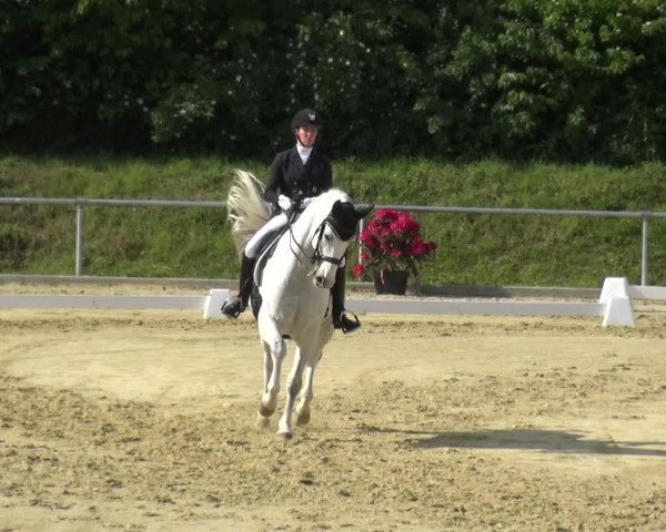Reitturnier Ladenburg 2019