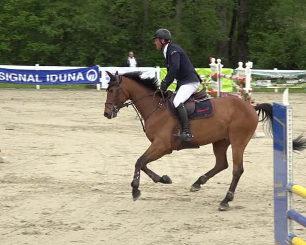 Reitturnier Isny-Rohrdorf 2019