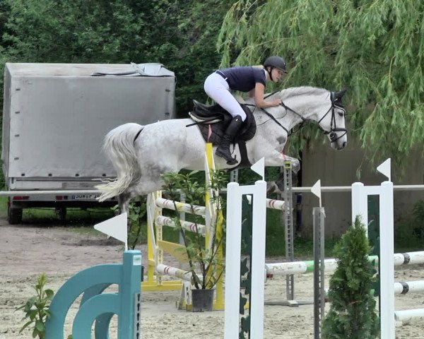 Reitturnier Herxheim 2019