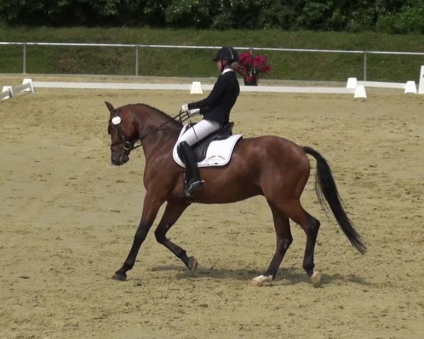 Reitturnier Ladenburg 2019