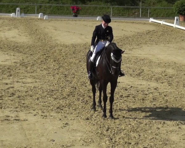 Reitturnier Ladenburg 2019