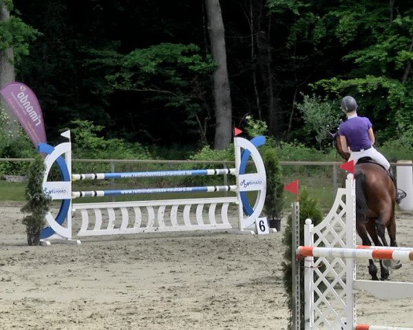 Reitturnier Herxheim 2019