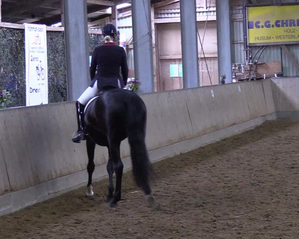 Reitturnier Löwenstedt 2019