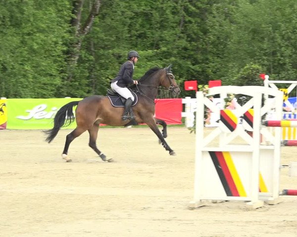 Reitturnier Isny-Rohrdorf 2019