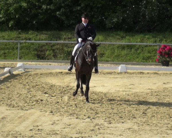 Reitturnier Ladenburg 2019