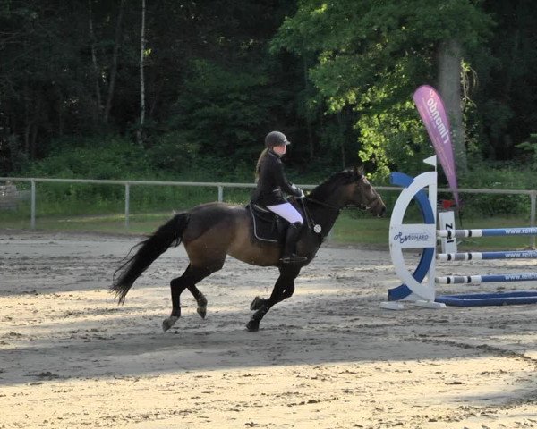 Reitturnier Herxheim 2019