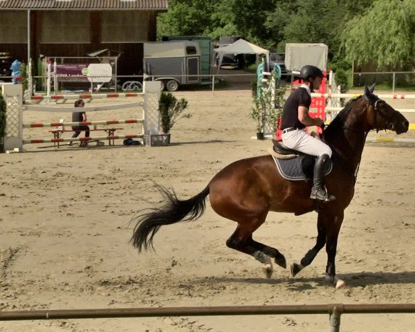 Reitturnier Herxheim 2019