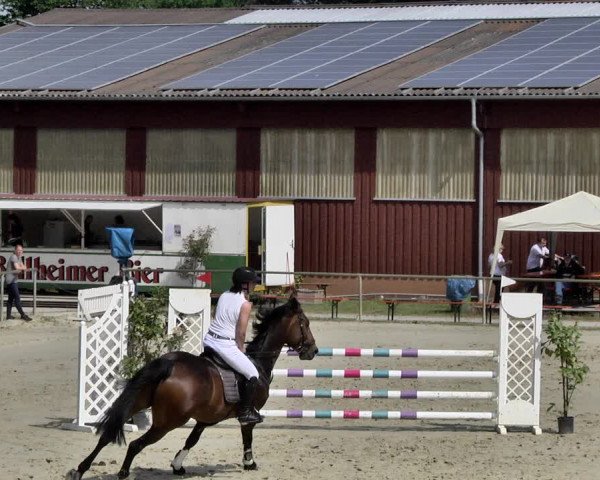 Reitturnier Herxheim 2019