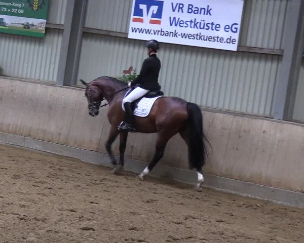 Reitturnier Löwenstedt 2019