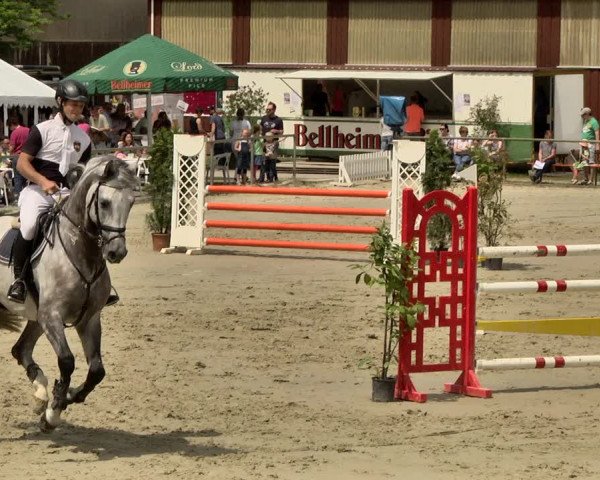 Reitturnier Herxheim 2019