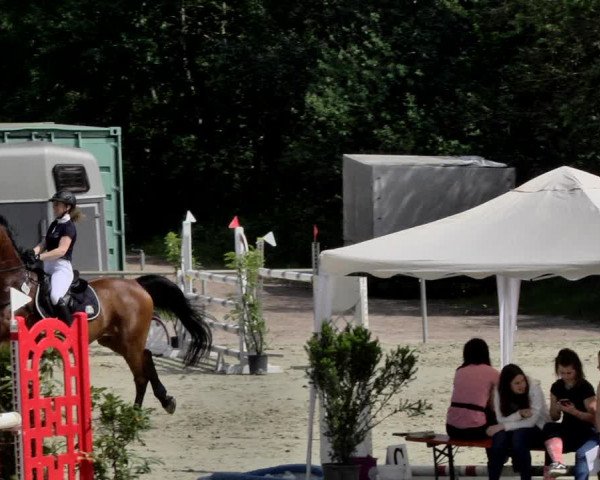 Reitturnier Herxheim 2019