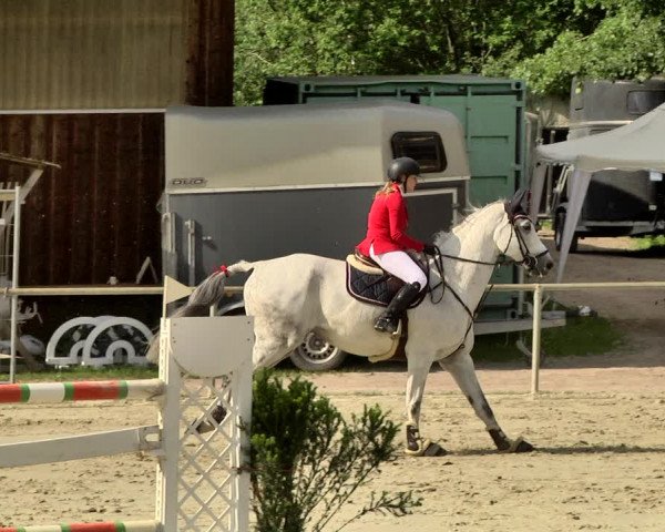 Reitturnier Herxheim 2019