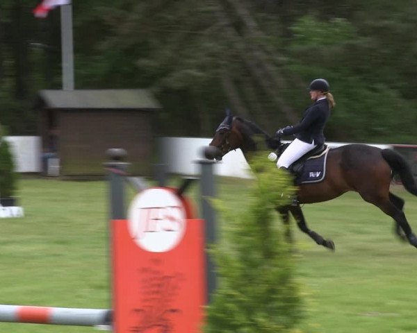 Reitturnier St. Peter-Ording 2019