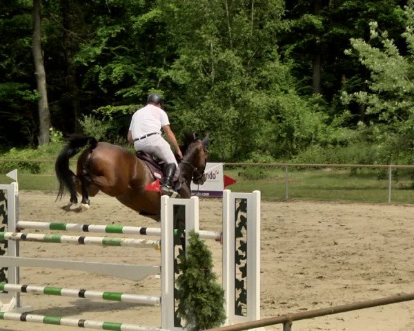 Reitturnier Herxheim 2019
