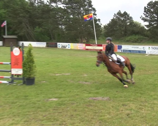 Reitturnier St. Peter-Ording 2019