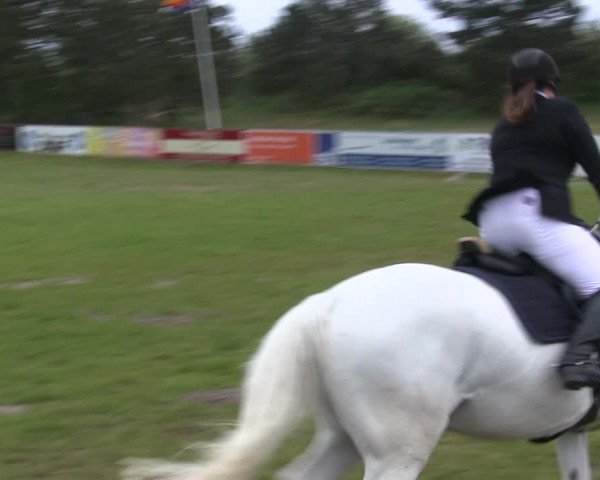 Reitturnier St. Peter-Ording 2019
