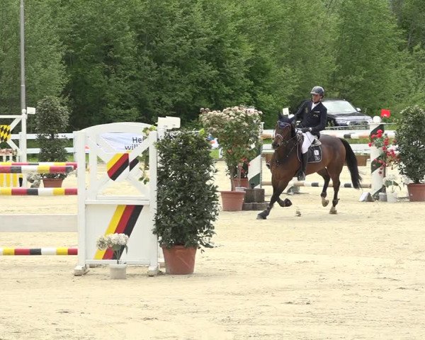 Reitturnier Isny-Rohrdorf 2019