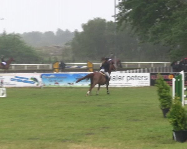 Reitturnier St. Peter-Ording 2019