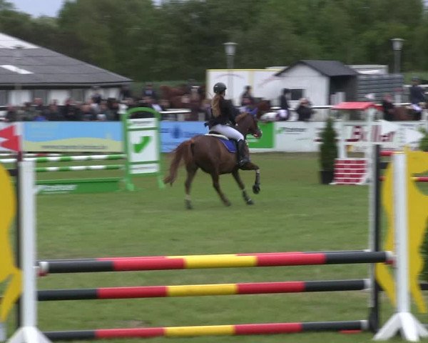 Reitturnier St. Peter-Ording 2019