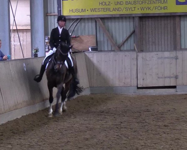 Reitturnier Löwenstedt 2019