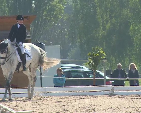 Reitturnier Ansbach/Mfr. 2019