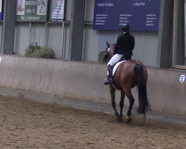 Reitturnier Löwenstedt 2019