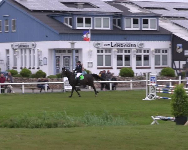 Reitturnier St. Peter-Ording 2019