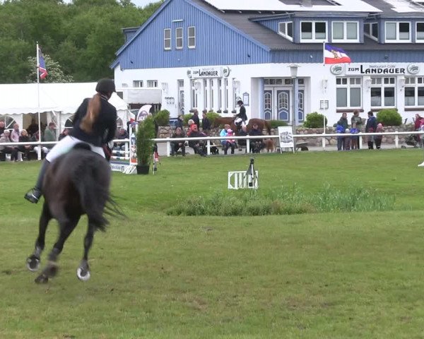 Reitturnier St. Peter-Ording 2019