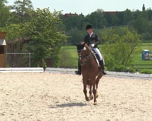 Reitturnier Ansbach/Mfr. 2019