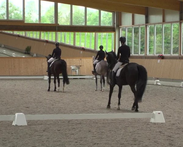 Reitturnier Neuss-Uedesheim - Gut Altwahlscheid 2019