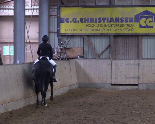 Reitturnier Löwenstedt 2019